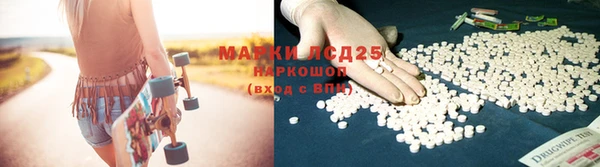 дмт Абаза