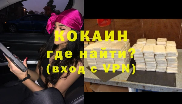 Альфа ПВП Няндома