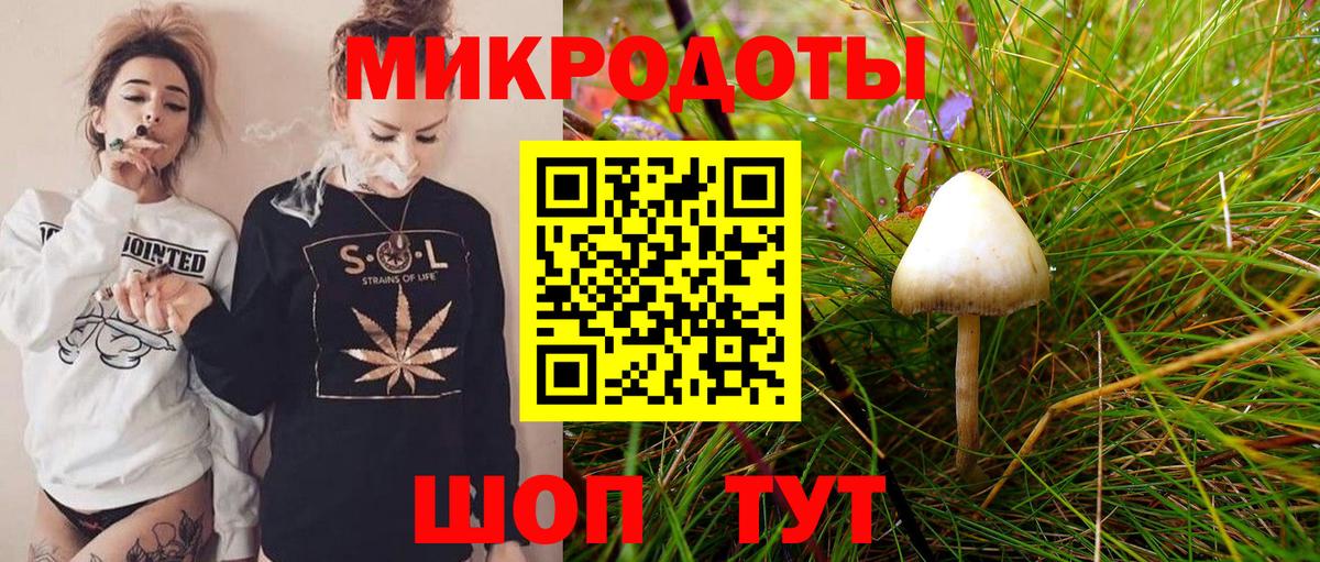 Псилоцибиновые грибы GOLDEN TEACHER Стерлитамак